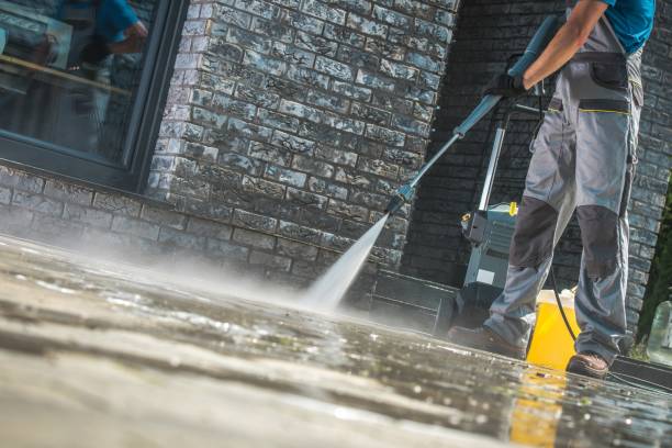 Best Dumpster Area Cleaning  in Shrub Oak, NY