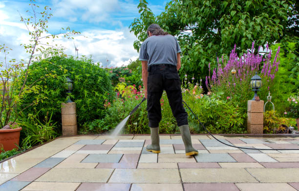 Animal Enclosure Cleaning in Shrub Oak, NY